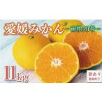 ふるさと納税 【訳あり】 みかん 11kg 愛媛みかん 南柑20号 14000円 規格外 傷 不揃い ご家庭用 愛媛県愛南町