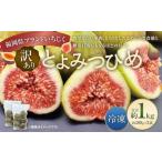 いちじく 訳あり 冷凍いちじく とよみつひめ 1kg
