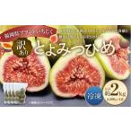 いちじく 訳あり 冷凍いちじく とよみつひめ 2kg