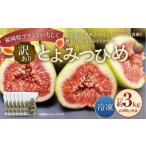 いちじく 訳あり 冷凍いちじく とよみつひめ 3kg