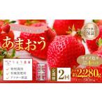 うるう農園のあまおう サイズ色々4パック