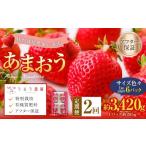 うるう農園のあまおう サイズ色々6パック