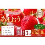 うるう農園のあまおう サイズ色々2パック