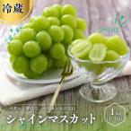 MS30 ぶどう シャインマスカット 産秀品 約1kg