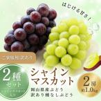 シャインマスカット 産ぶどう 訳あり種なしぶどう2種セット…