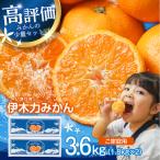 伊木力みかん 3.6kg