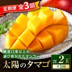 太陽のタマゴ ライチ定期便 マンゴー ライチ