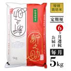 B7-8ST056 長岡産新之助5kg