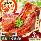 活うなぎ蒲焼 3本入