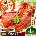 活うなぎ蒲焼 4本入