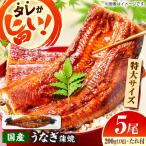活うなぎ蒲焼 5本入