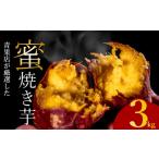 蜜 焼き芋 紅はるか 3kg