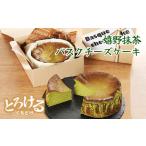 ふるさと納税 嬉野抹茶バスクチーズケーキ スイーツ 佐賀県 佐賀市 嬉野抹茶 佐賀県産小麦粉使用 濃厚チーズケーキ レビュー高評価 お菓子工房う.. 佐賀県佐賀市