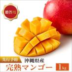 マンゴー1kg