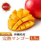 マンゴー1.5kg I マンゴー 1.5kg