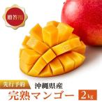 マンゴー2kg I マンゴー 2kg