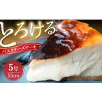 ケーキ カステラ チーズケーキ シキノネのチーズケーキ