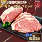 おおいた和牛 サーロインブロック 1kg