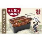 ふるさと納税 限定 国産 鰻 土佐はちきん うなぎ 蒲焼き 150g以上×2尾 | 無投薬 特上 極上 めす 贈答 南国市 高知県南国市