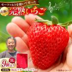 いちご400g 苺 3Lサイズ9個入り