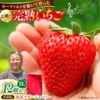 いちご400g 苺 2Lサイズ12個入り