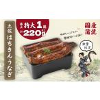 ふるさと納税 限定 国産 鰻 特大 土佐はちきん うなぎ 蒲焼き 220g以上 | 無投薬 特上 極上 めす 贈答 南国市 高知県南国市