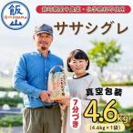 精米7分つき 令和8年産 ササシグレ