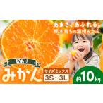 ふるさと納税 訳あり 温州みかん サイズミックス 3S 〜 3L 約10kg 日本フルーツ株式会社《10月中旬-2月下旬頃出荷予定》熊本県 荒尾市 みかん 温.. 熊本県荒尾市