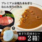 射手矢農園 特製カレー 2箱