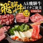 定期便 5回 A5飛騨牛 ご褒美