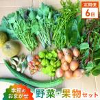 S096-004-T06_ 季節のおまかせ野菜と果物セット