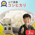 令和7年産コシヒカリ 精米 無洗米 3kg