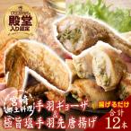 極旨塩 手羽先 唐揚げ 手羽ギョーザ セット 計12本