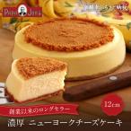 濃厚ニューヨークチーズケーキ 12cm
