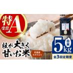 さがびより 白米 5kg