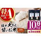 さがびより 白米 10kg
