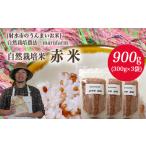 自然栽培農家 marufarm 自然栽培米