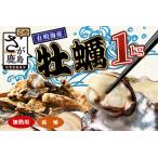 有明海産 養殖牡蠣1kg 冬季 殻付き生牡蠣