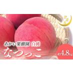 ふるさと納税 【2026年�