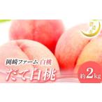 ふるさと納税 【2026年�