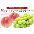 ふるさと納税 【2026年�