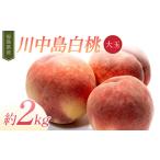 ふるさと納税 【2026年�