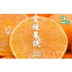 訳あり 愛果28号 約2kg