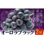オーロラブラック 2房入り
