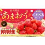 ふるさと納税 【アフター対応】 あまおう 約280g×6パック （計約1.68kg） 【2026年4月上旬〜4月下旬発送予定】 苺 いちご イチゴ 果物 果実.. 福岡県遠賀町