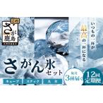 定期便 12回定期便 さがん氷 バラエティセット