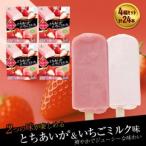 フタバ食品 とちあいか®の季節 4箱セット 計24本