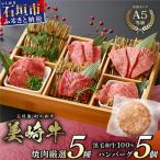 美崎牛 焼肉5種&特製ハンバーグ