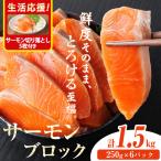 生食用 サーモン ブロック 計1.5kg
