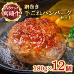 ハンバーグ A5ランク 宮崎牛 180g 12個 セット
